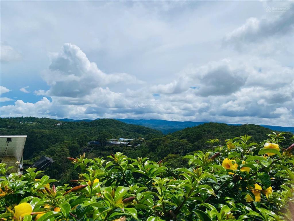 Bán tổ hợp biệt thự giá rẻ  view rừng thông rất đẹp  phường 3  tp. đà lạt giá tốt
