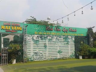 Ngộp giảm mạnh 22 tỷ về 16 tỷ lô đất full thổ 24x55 ngã 3 hà duy phiên  bình mỹ củ chi