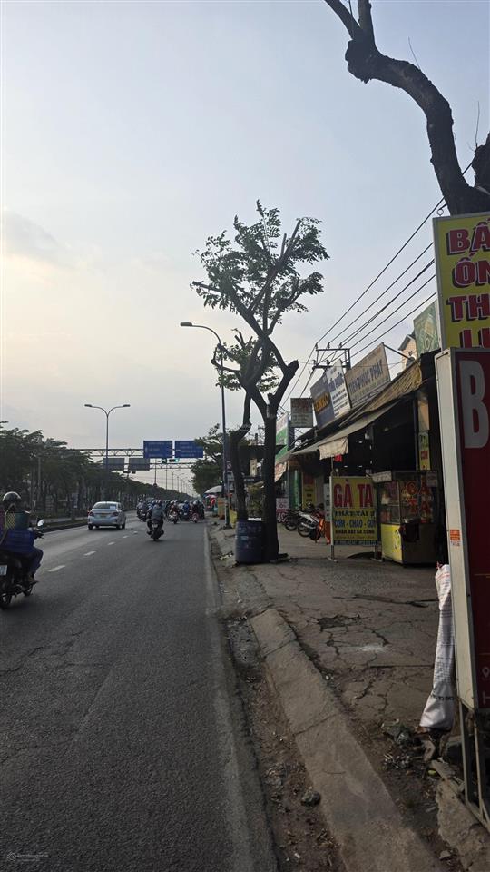 Bán nhà mặt tiền kinh doanh trần văn giàu đường 40m xe cont đổ cửa dt 600m2 full thổ nhỉnh 32 tỷ