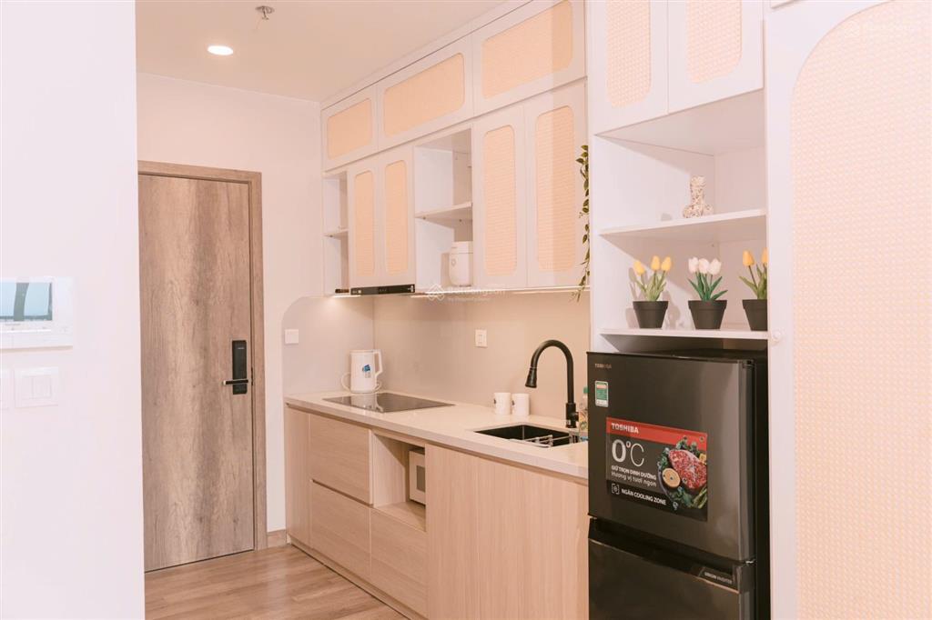 Studio full nội thất, thiết kế có guu, sẵn sàng cho thuê homestay tại ecopark
