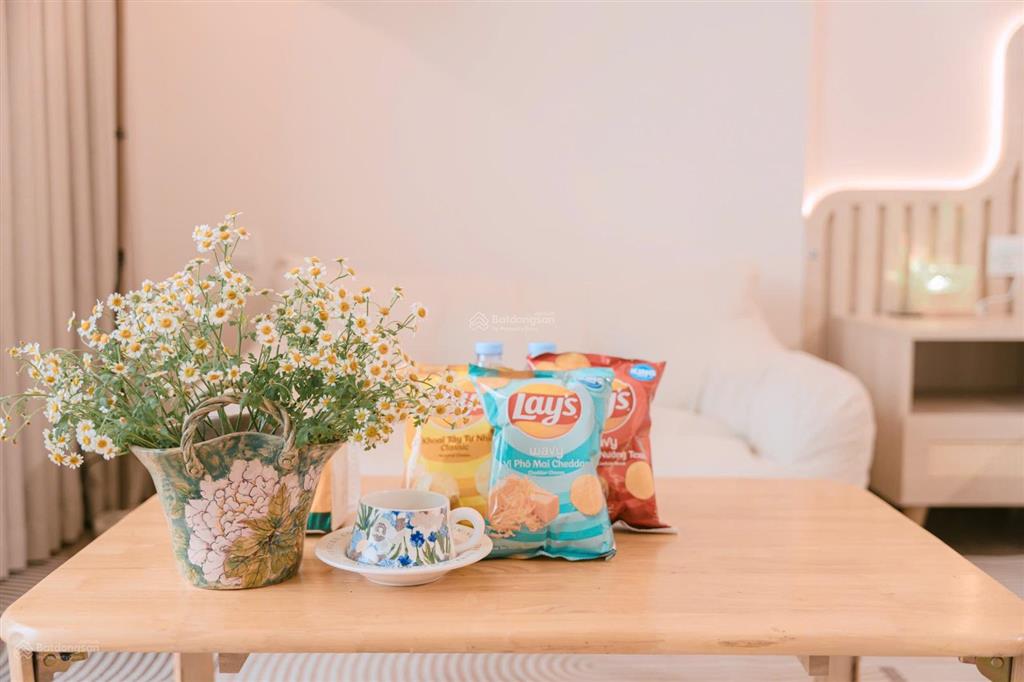 Studio full nội thất, thiết kế có guu, sẵn sàng cho thuê homestay tại ecopark