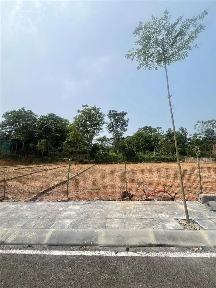 Chỉ 375tr  đất phân lô vỉa hè đẹp sát đường ql12b, ngay kcn tân phong 500ha