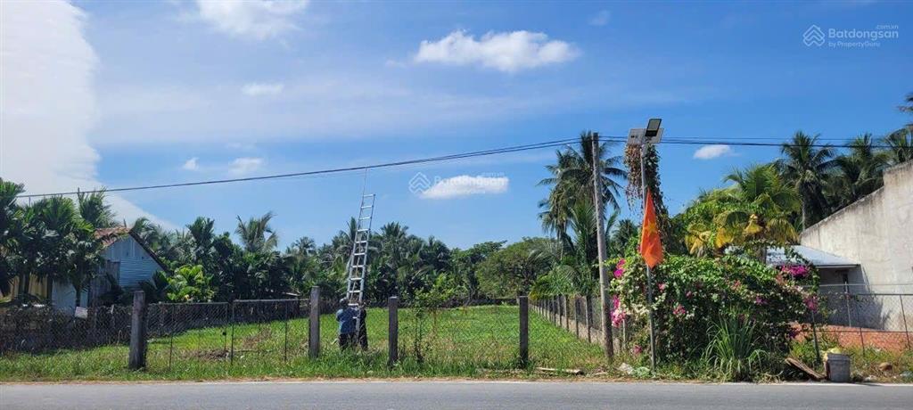 Đất mt ql60 20,5x 73m 300tc giá chỉ 2 tỷ980tr