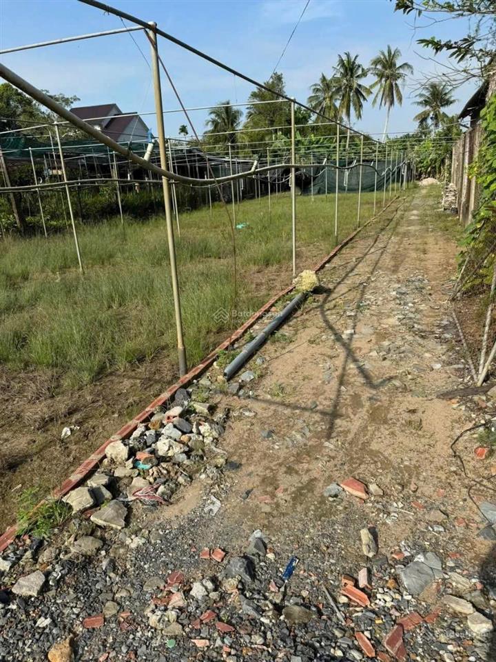 Đất đường huyện cách chợ lộ đất 700m 1500m² 300tc giá 3,8 tỷ
