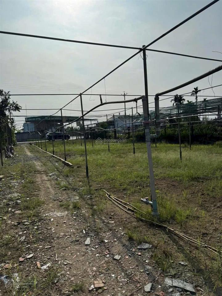 Đất đường huyện cách chợ lộ đất 700m 1500m² 300tc giá 3,8 tỷ