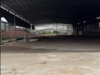 Cho thuê nhà tiền chế diện tích lớn 5000m2 mt ql60 xã thành thới vĩnh long
