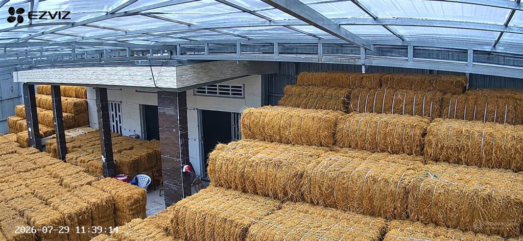 Cho thuê nhà cấp 4 với sân khung tiền chế diện tích lớn xã thành thới tỉnh vĩnh long