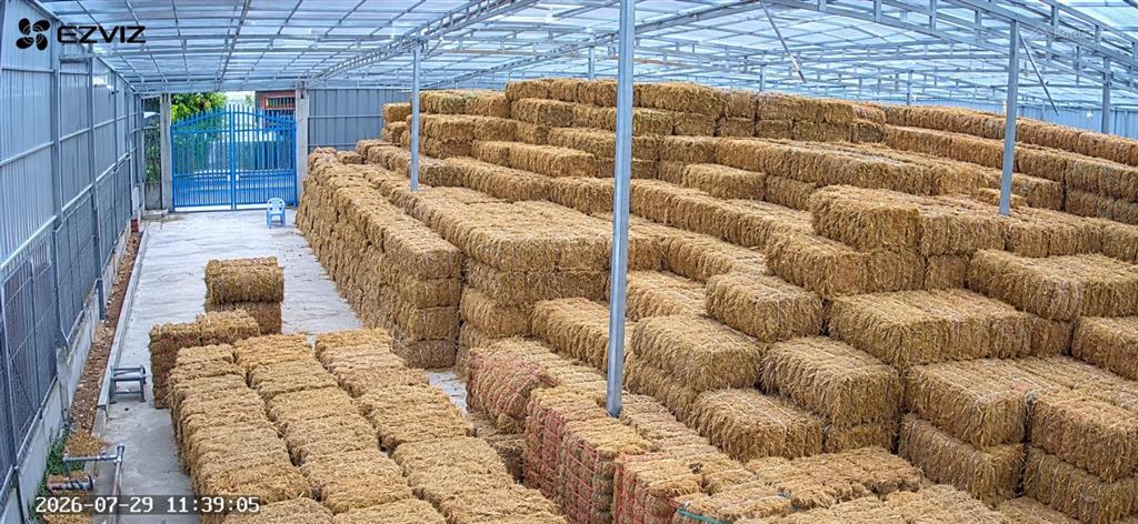 Cho thuê nhà cấp 4 với sân khung tiền chế diện tích lớn xã thành thới tỉnh vĩnh long
