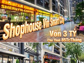 Vốn 3 tỷ sở hữu shophouse khối đế 62,9m²  the victoria thuê tới 85tr/tháng sổ đỏ lâu dài