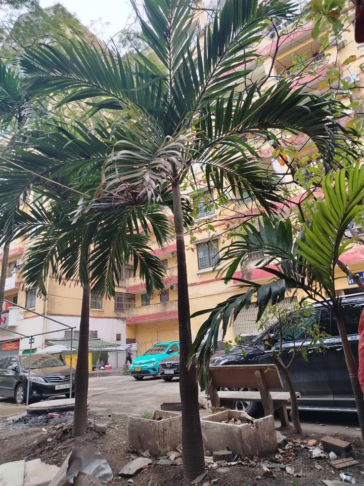 Bán gấp căn hộ 3pn tại khu đô thị mới định công