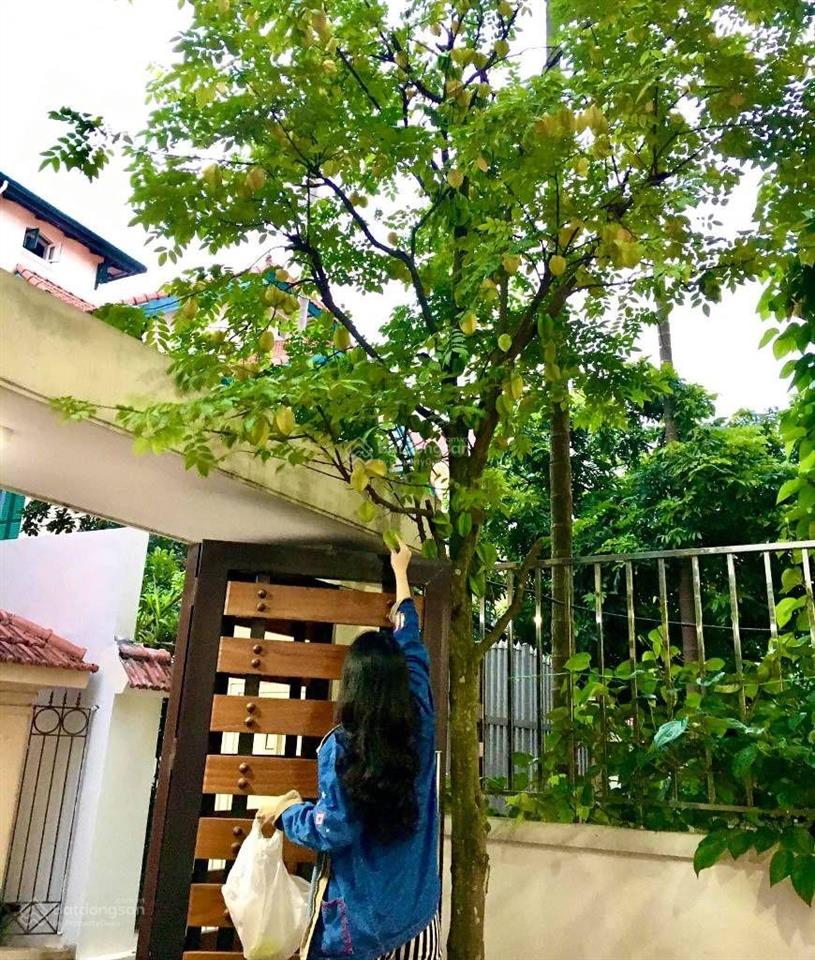 Bán nhà riêng giá cực chất 26,5 tỷ, 95m2 tại ngọc thụy, long biên, hà nội