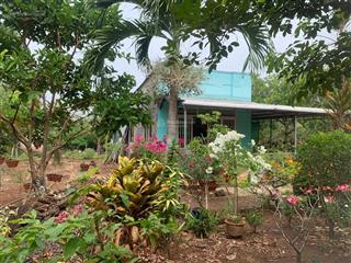 Bán vườn trái cây có nhà cấp 4 view hồ bàu môn, gần nút giao cao tốc