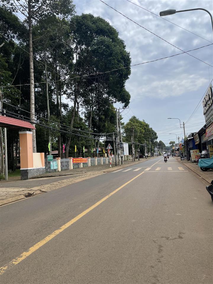 Bán vườn măng cụt đang thu hoạch trung tâm phường xuân lập