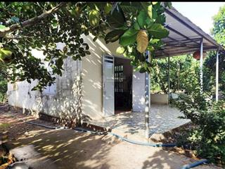 Bán 5000m2 nhà vườn nghỉ dưỡng có nhà cấp 4 và vườn trái cây đủ loại