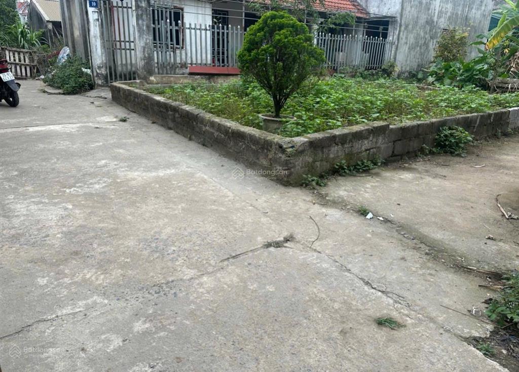 Bán đất đẹp lô góc vân tảo gần vành đai 4 và vin olympic. chỉ loanh quanh 3 tỷ