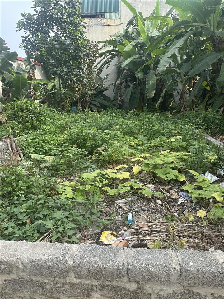 Bán gấp 75m đất sát trường học thôn 3 vạn phúc. giá chỉ hơn 4 ty