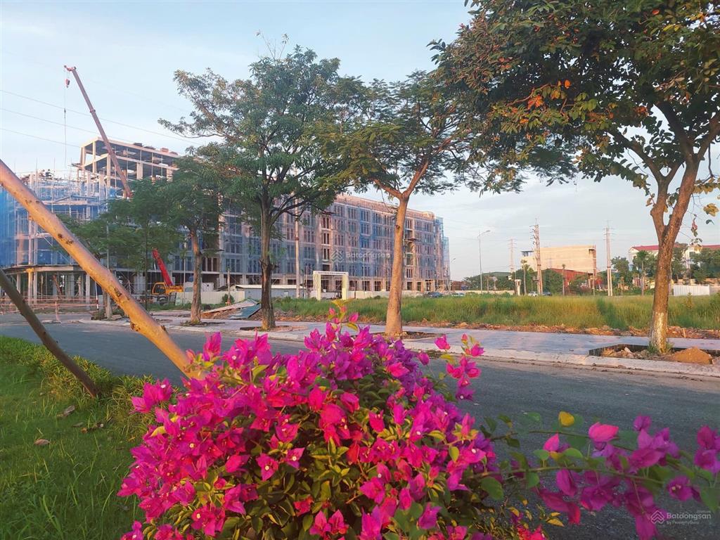 Bán đất nền dự án yên phong gateway, bắc ninh, giá tốt 3,55 tỷ 115m²