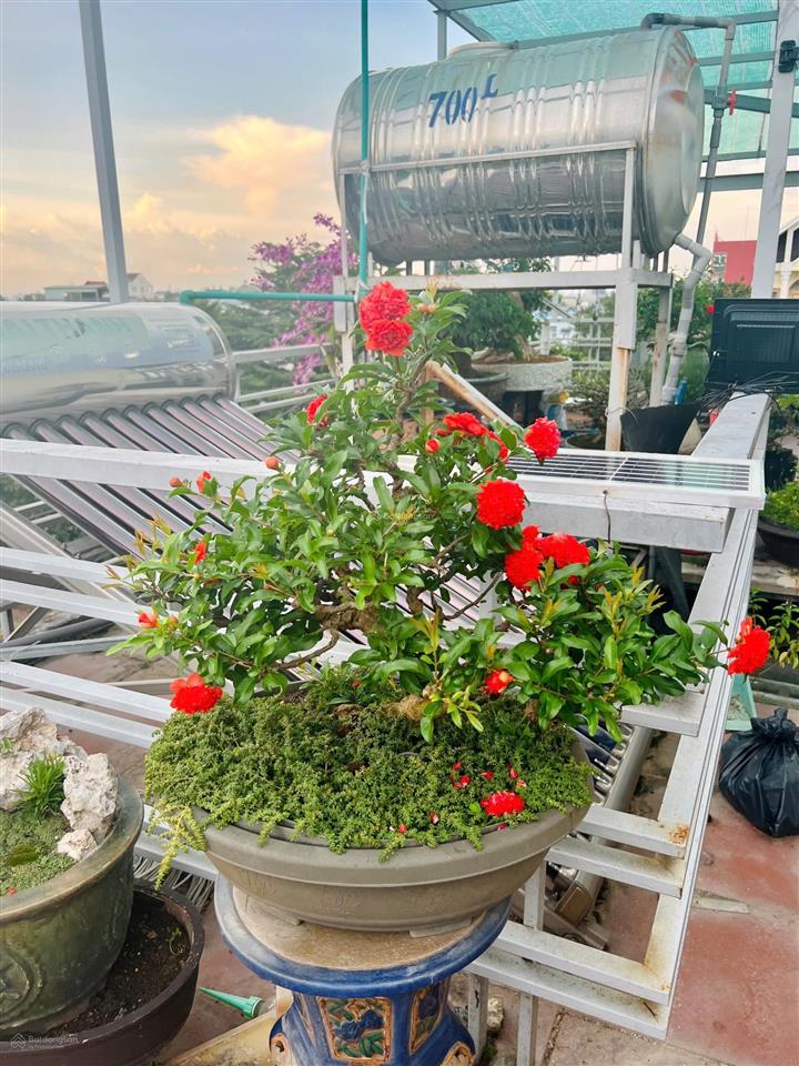 Bán nhà góc 2mt, nhà như hình, giá 7,2 tỷ, bà điểm, hóc môn