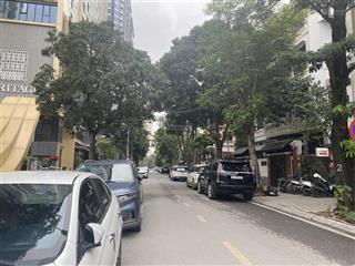 Phân lô ô tô vỉa hè rộng kinh doanh  đền lừ 98 m , giá 32 tỷ