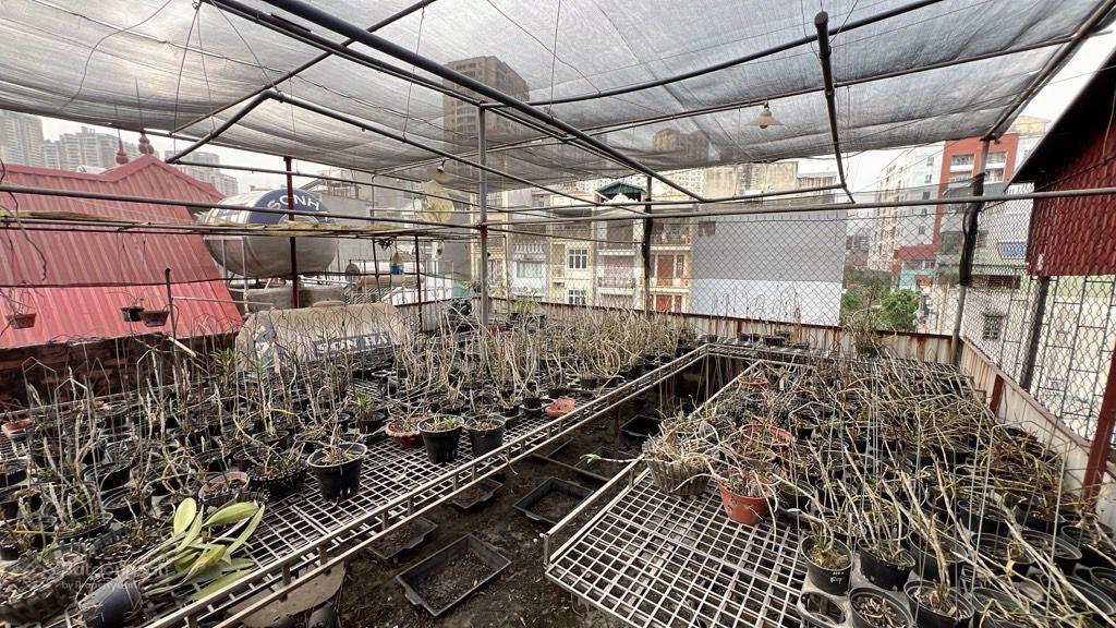 Hiếm mặt phố kinh doanh sầm uất hai mặt thoáng giá đầu tư  bùi huy bích 110 m giá 40 tỷ