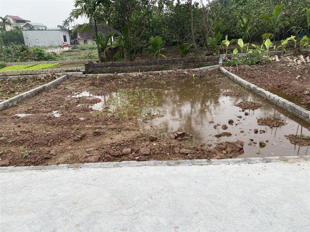 Bán đất 80m2 tại xã bạch hạ, giá siêu hời 1,78 tỷ