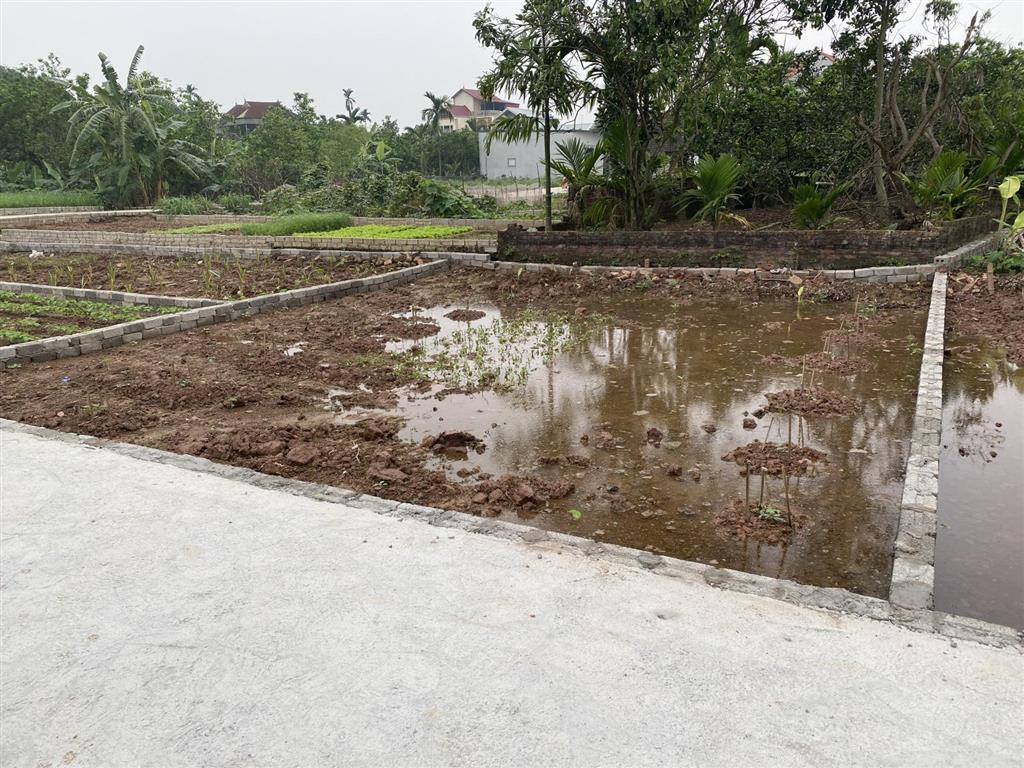 Bán đất 80m2 tại xã bạch hạ, giá siêu hời 1,78 tỷ