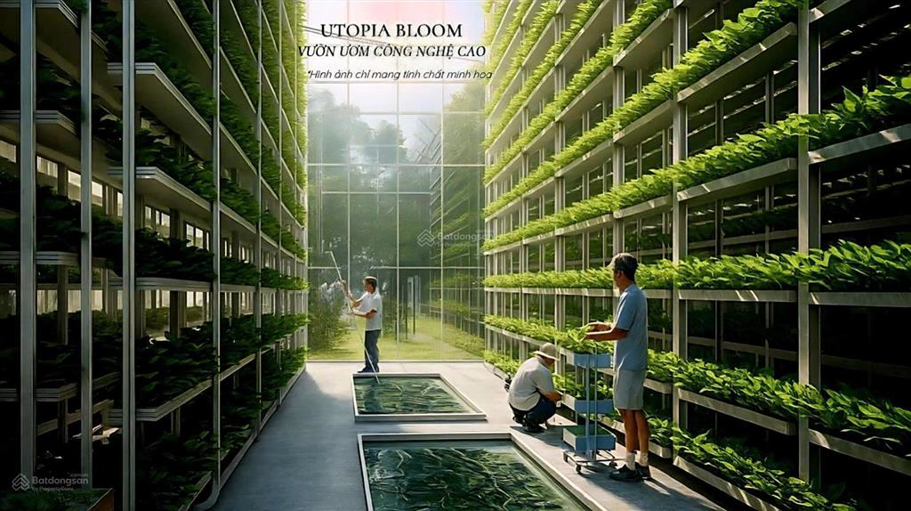 Bảng giá mới nhất utopia villas & resort hòa bình