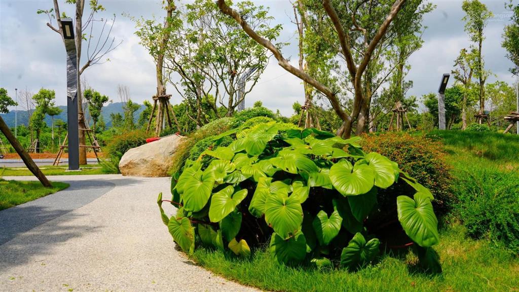 Nhận tìm căn đẹp, giá tốt utopia villas & resort theo nhu cầu khách hàng