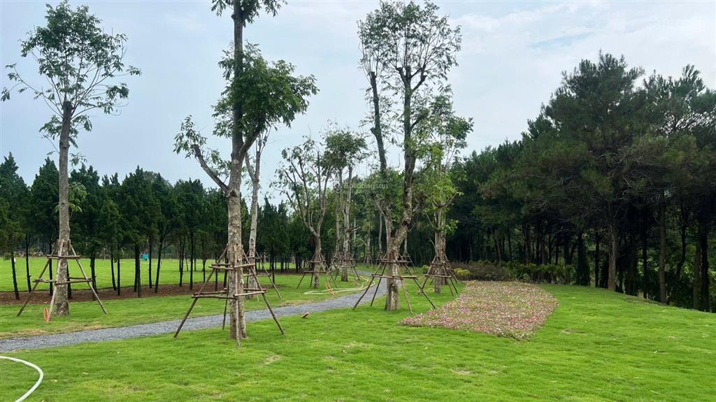 Nhận tìm căn đẹp, giá tốt utopia villas & resort theo nhu cầu khách hàng