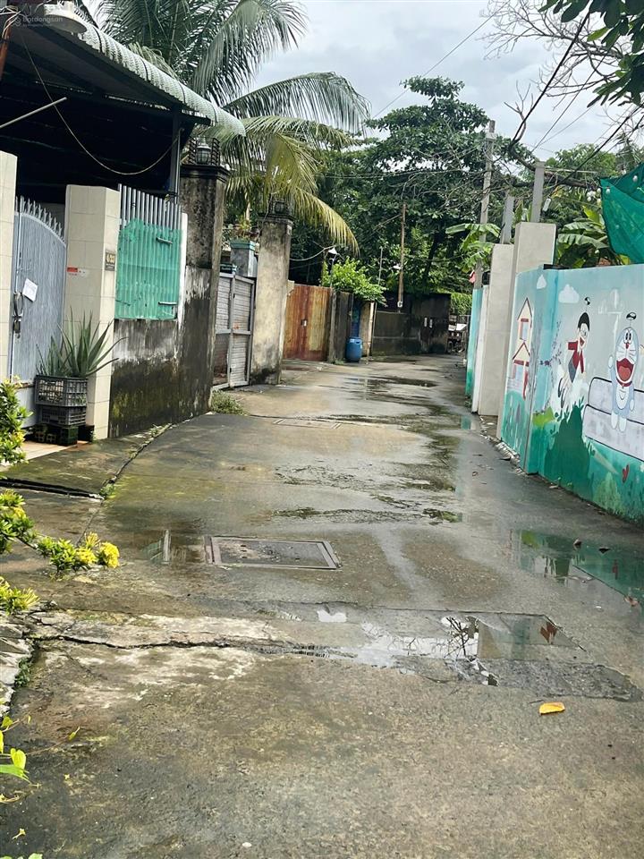 Bán đất tại hoàng hữu nam, 13,5 tỷ, 500m2, thủ đức, hcm