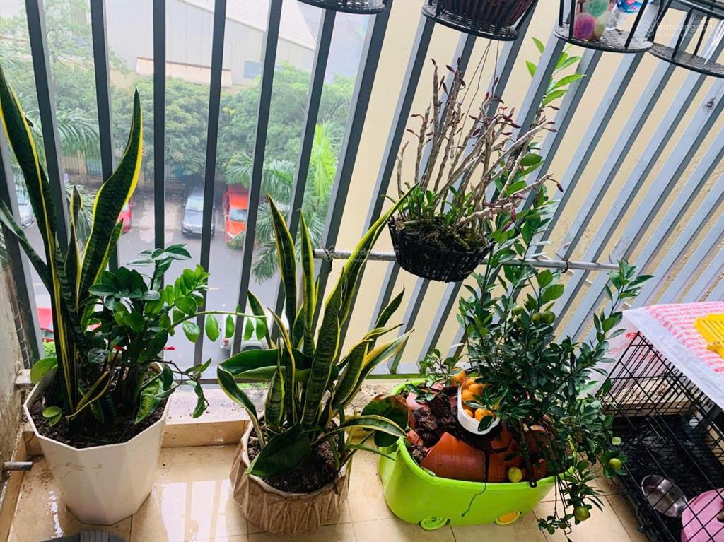 Chính chủ về quê sinh sống cần bán gấp căn hộ cc the vesta, 67m2, 2pn, 2wc