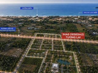 Bán lô đất quy hoạch đẹp, ven biển phường lagi, lâm đồng, giá chỉ 900 nghìn /m2