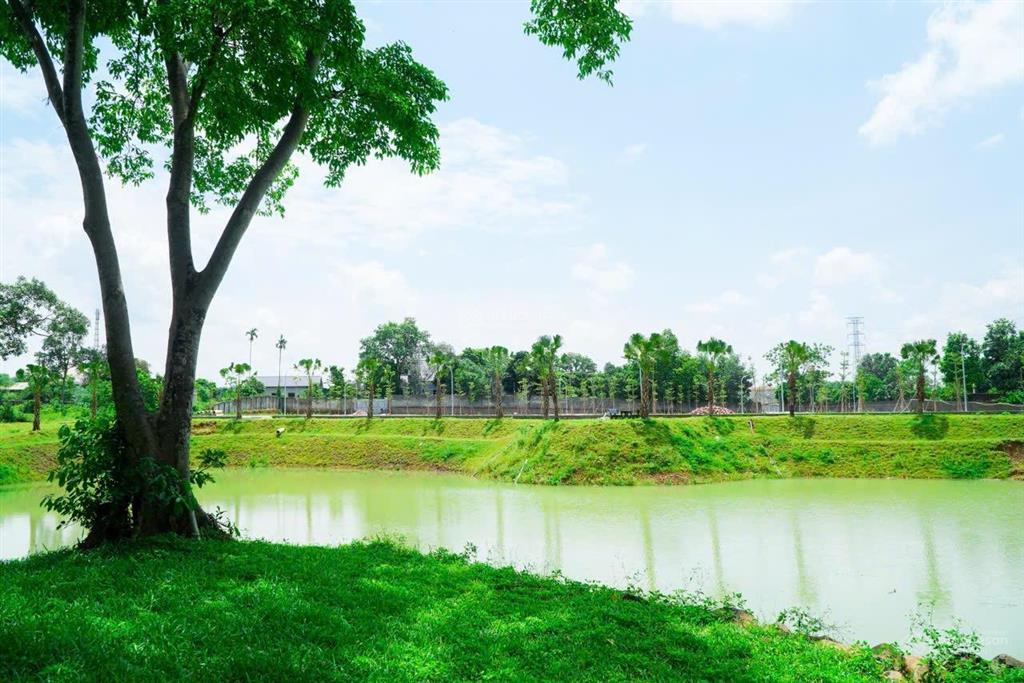 Vành đai 5 cận kề tiện ích đủ đầy đất ngã tư xuân mai chỉ 1,55 tỷ! giá trả thẳng