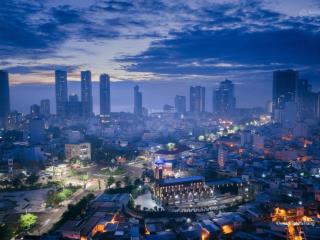 Cần bán gấp đất nền dự án tại kđt nam sông cái, 25 triệu / m2, 300 m2