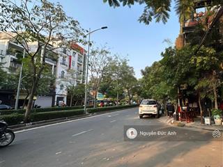 Nhà cấp 4 tiện xây siêu phẩm tt gò vấp, shr(4.4*16m), 1/đường 12m có lề, khu trung tâm hiếm nhà bán