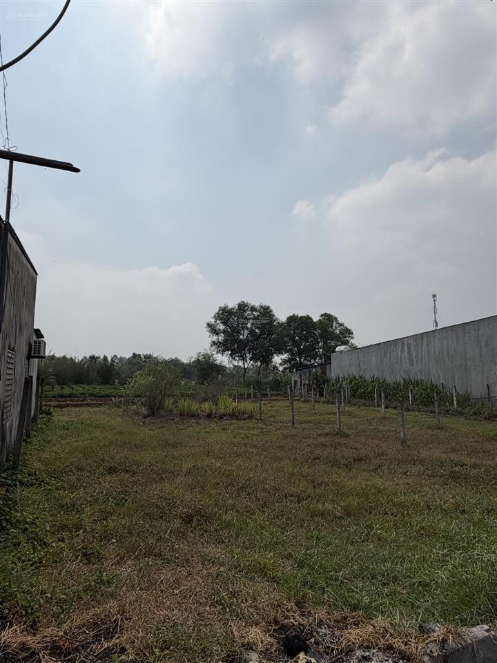 1 tỷ 2 sở hữu hơn 500m2 đất vườn củ chi  đất vuông vắn  đẹp  xây ở vô tư