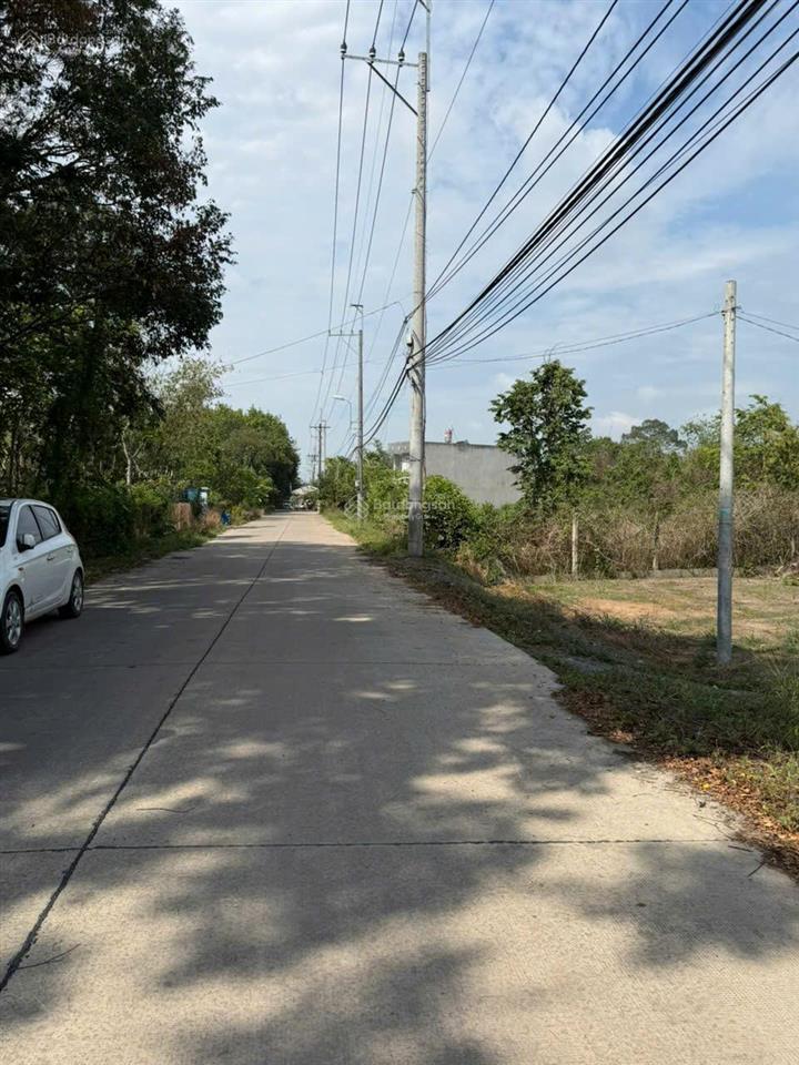Đất vườn diện tích lớn hơn 500m2 tân an hội chỉ nhỉnh 2 tỷ  ngang lớn 26m  ngay trung tâm củ chi