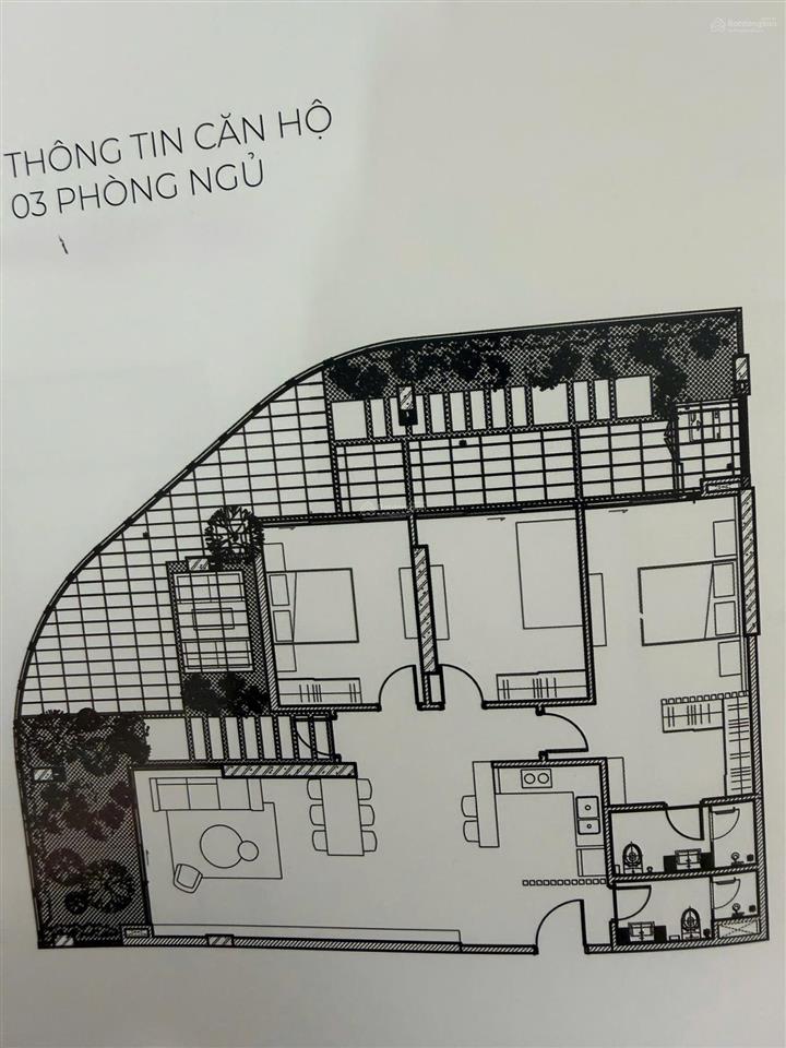 Siêu hiếm! căn hộ sân vườn t&t capella 2 phạm ngọc thạch 178m2 cạnh vincom sở hữu lâu dài 26,x tỷ