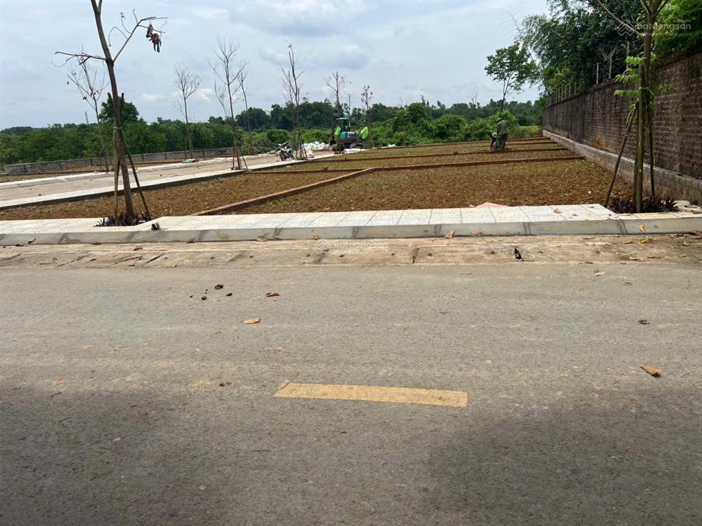 Bán nhanh lô đất 103m² chục chính hòa lạc, sát ql21a, metro, đhqg, cnc,  037223786 xem thực tế