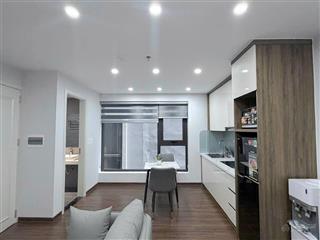 Cho thuê chdv 1pn trung tâm quận 7