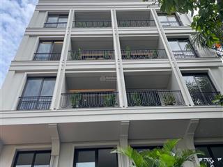 Cho thuê căn hộ dịch vụ 1pn trung tâm quận 7