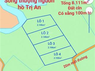 Em bán gần 1ha [8.111m] đất gần hồ trị an có sẵng 100m tc  giá chỉ 1.35 tỷ