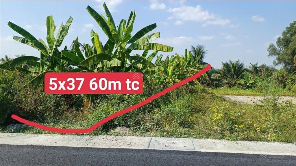 5x37 có 60m tc. nhựa 7m giá chỉ 1.456 tỷ