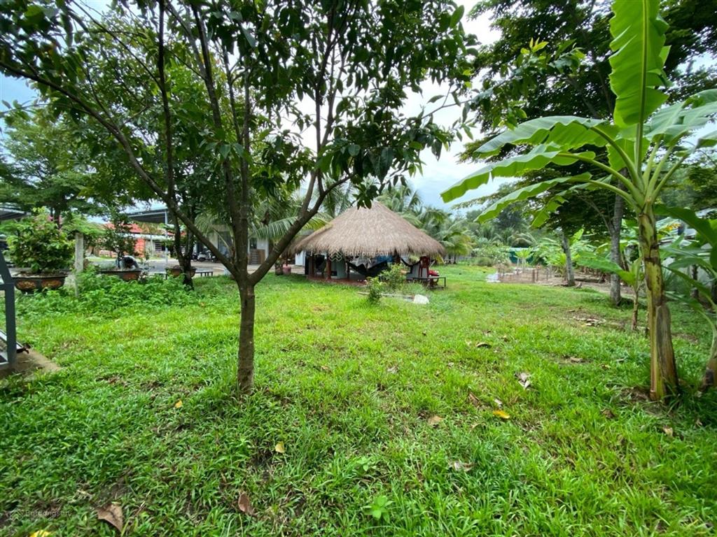 Bán nhà mặt phố tại đặng công bỉnh, 55 tỷ, 4875 m2, hàng hiếm giá siêu hời