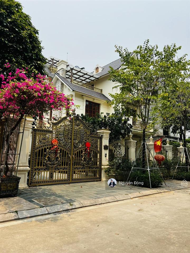 Biệt thự khu c geleximco lê trọng tấn hoàn thiện full đẹp, vị trí đắc địa, sân vườn ở đỉnh 240m2