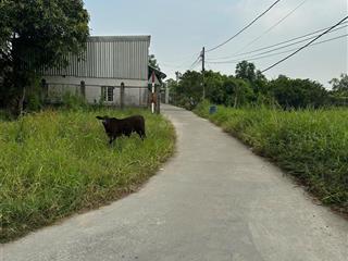 Cần bán gấp 173m2 thổ cư góc 2mt xã an phú tây 3,1ti