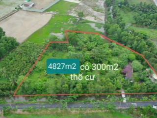 Cần tiền hạ giá bán 4800m2 thổ cư tt tân túc bình chánh