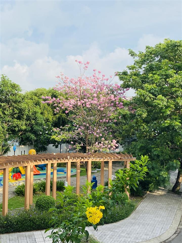 Bán nhà đẹp full nội thất  khu khang điền  gia hoà  mik group  tiện đi sân bay