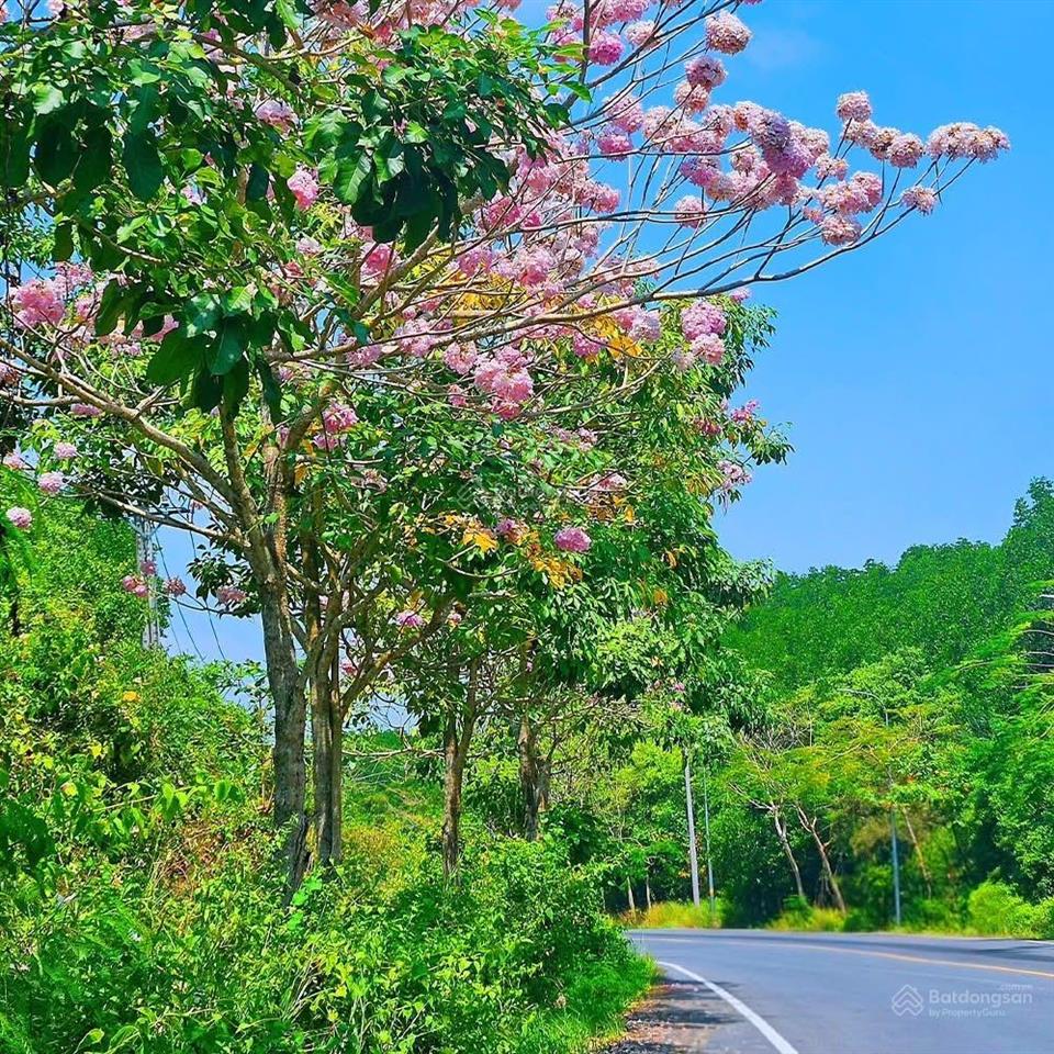 Bán nhà đẹp full nội thất  khu khang điền  gia hoà  mik group  tiện đi sân bay