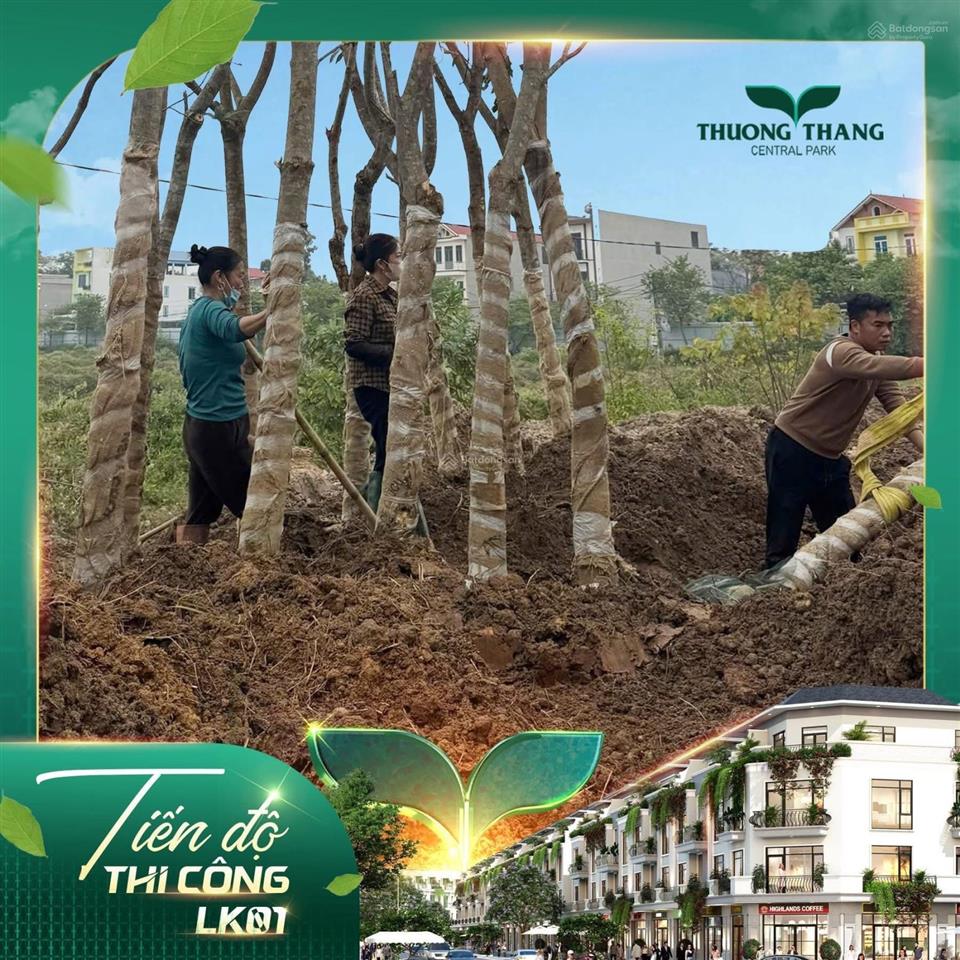 Thường thắng central park vẻ đẹp đang vươn mình từng ngày trôi qua, thường thắng central p